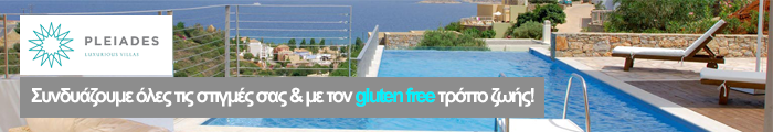 pleiades villas-Banner